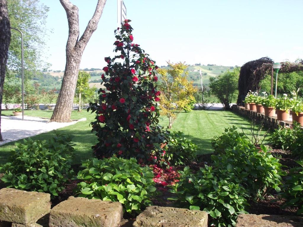 Hotel Ausonia Monte Porzio Εξωτερικό φωτογραφία